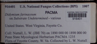 Didymium farinaceum image